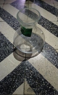 Bor levegőztető üveg