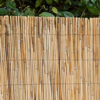 Bambusz kerítés 2 M